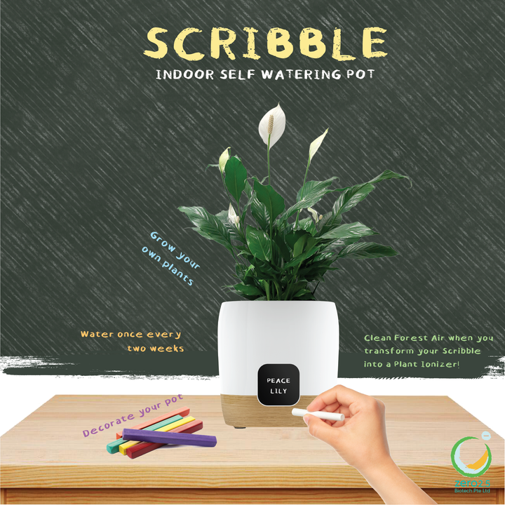 Scribble | Self-watering SP1000